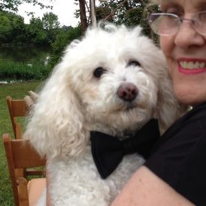 Meet your Posher, Carolyn