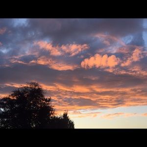 Meet your Posher, Veselina