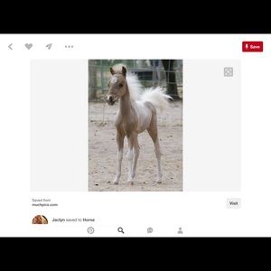 Meet your Posher, Hazel