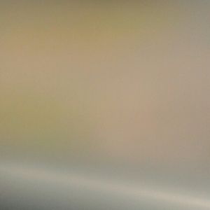 Meet your Posher, Jelisa