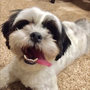 Meet your Posher, Esther