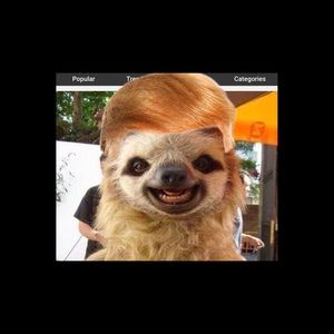 Meet your Posher, Jess