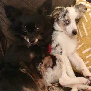 Meet your Posher, Mary