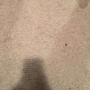 Meet your Posher, Margie