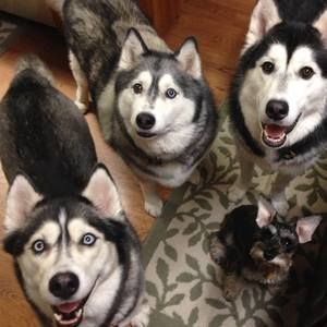 Meet your Posher, Karla