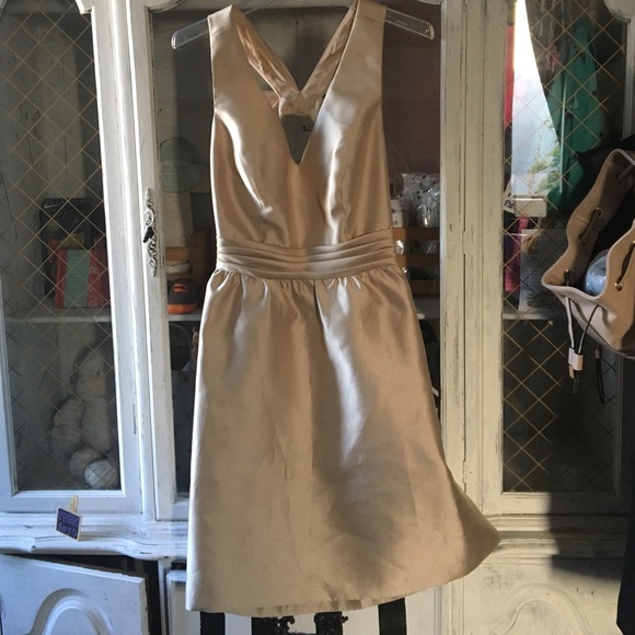 Adrianna Papell Dresses & Skirts - Adrianna Papel Champagne V-Neck Party Dress w Bow