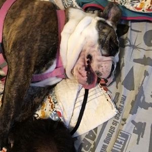 Meet your Posher, Alfonso