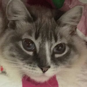 Meet your Posher, June