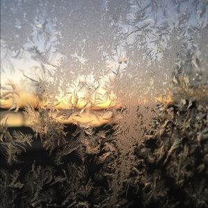 Meet your Posher, Greta