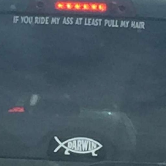 Meet your Posher, James - Picture 1 of 1