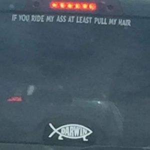 Meet your Posher, James