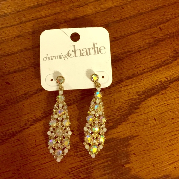 Charming Charlie earrings