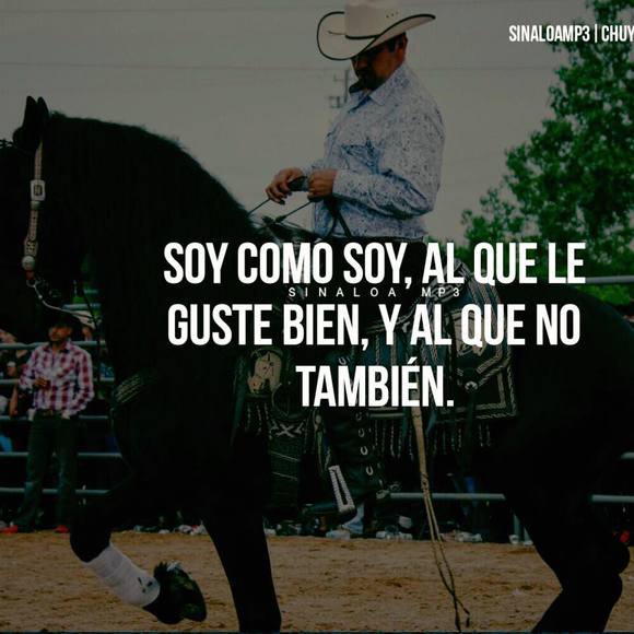 Meet your Posher, Albertho - Picture 1 of 1