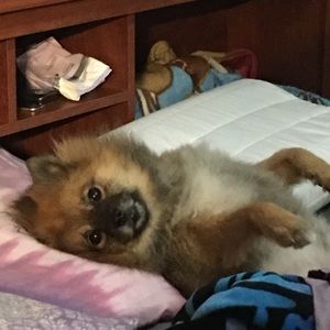 Meet your Posher, Theresa