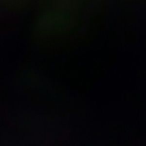 Meet your Posher, Jisan