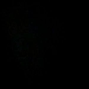 Meet your Posher, Nevaeh