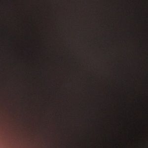 Meet your Posher, Shelby