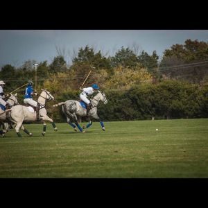 Meet your Posher, Johnny