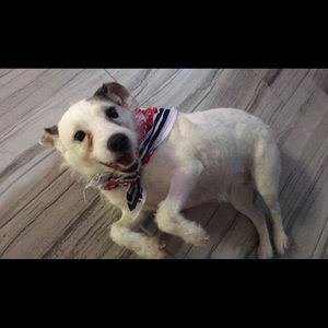 Meet your Posher, Leticia