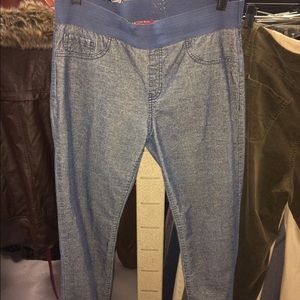 CAbi Velvet Jeggings