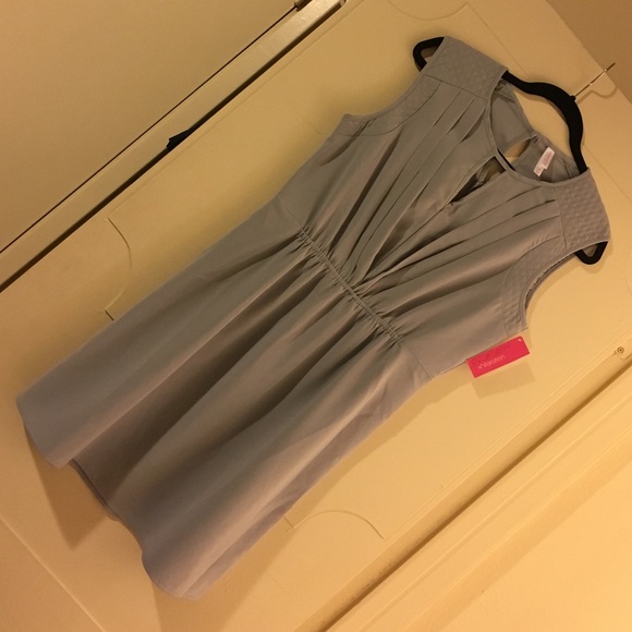 NWT Xhilaration Large Gray Dress