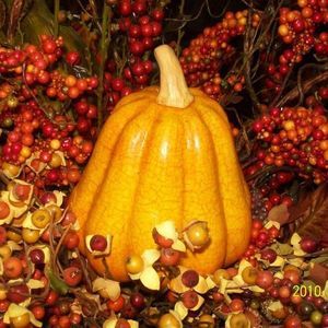 Meet your Posher, Robin