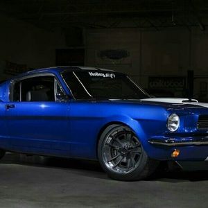 Meet your Posher, Sal