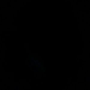 Meet your Posher, Carter