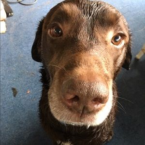 Meet your Posher, Mallory