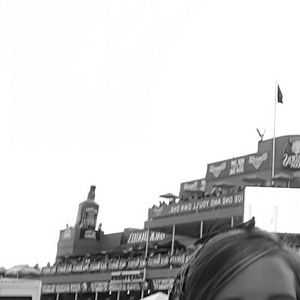 Meet your Posher, Theresa