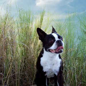 Meet your Posher, Lynsey