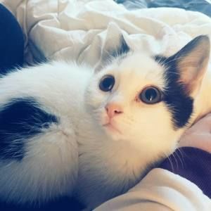 Meet your Posher, Mattea