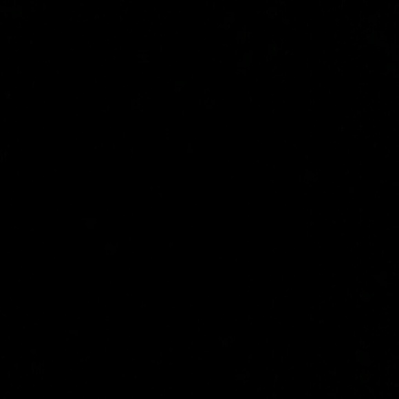 Meet your Posher, Shianne - Picture 1 of 1