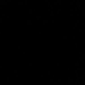 Meet your Posher, Shianne