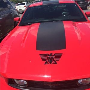 Meet your Posher, Tessa