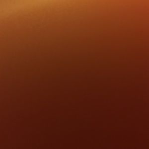 Meet your Posher, Dinesha