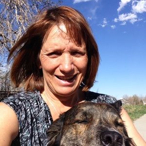 Meet your Posher, Ann