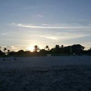 Meet your Posher, Tameya