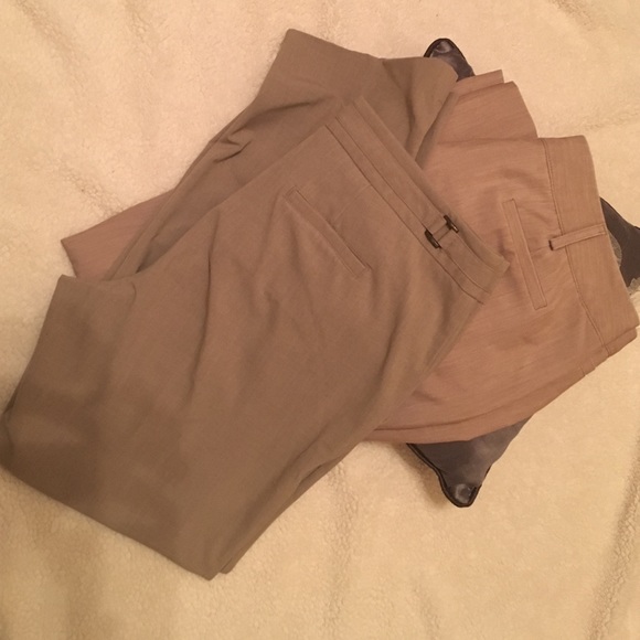 Dress pants