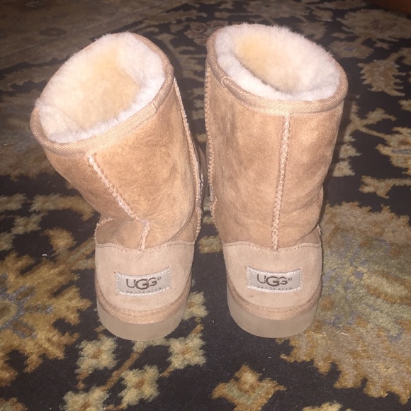 chesnut short uggs chesnut short uggs