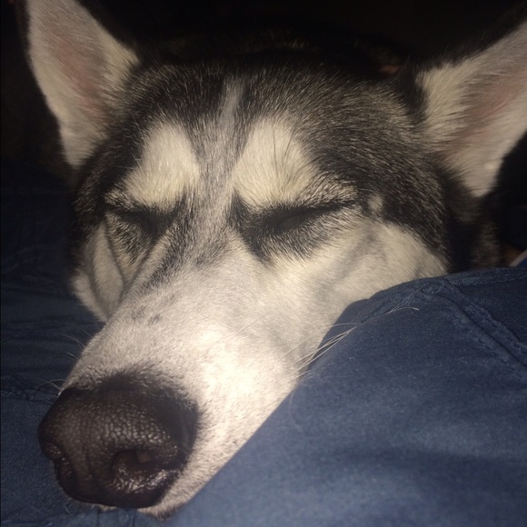 Meet your Posher, Cate - Picture 1 of 1