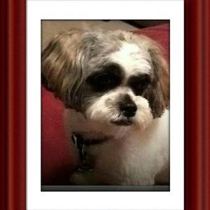 Meet your Posher, Jan