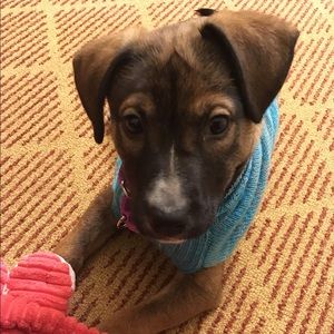 Meet your Posher, Cheryl