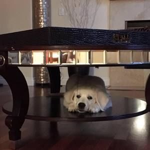 Meet your Posher, Ruchika