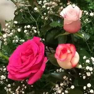 Meet your Posher, Sandra