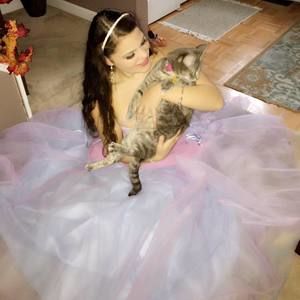 Meet your Posher, Fallon