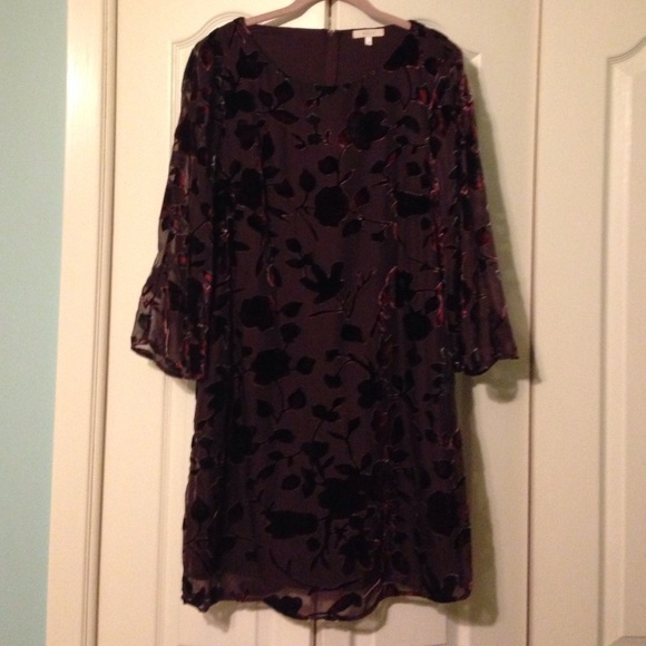 ModCloth Dresses & Skirts - Halo Velvet Lace Shift Dress