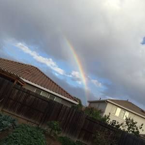 Meet your Posher, Qing