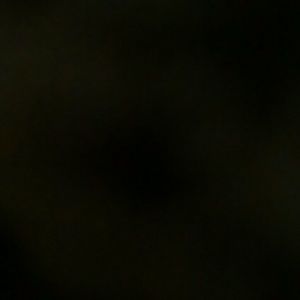 Meet your Posher, Bruce