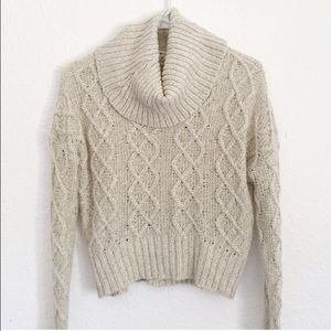 Turtleneck Cropped Sweater